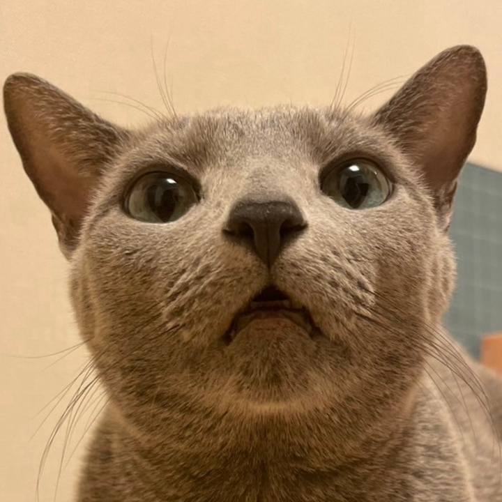 Fe0ab37e 5331 42fa ab44 d546864e29fd 1740875399109