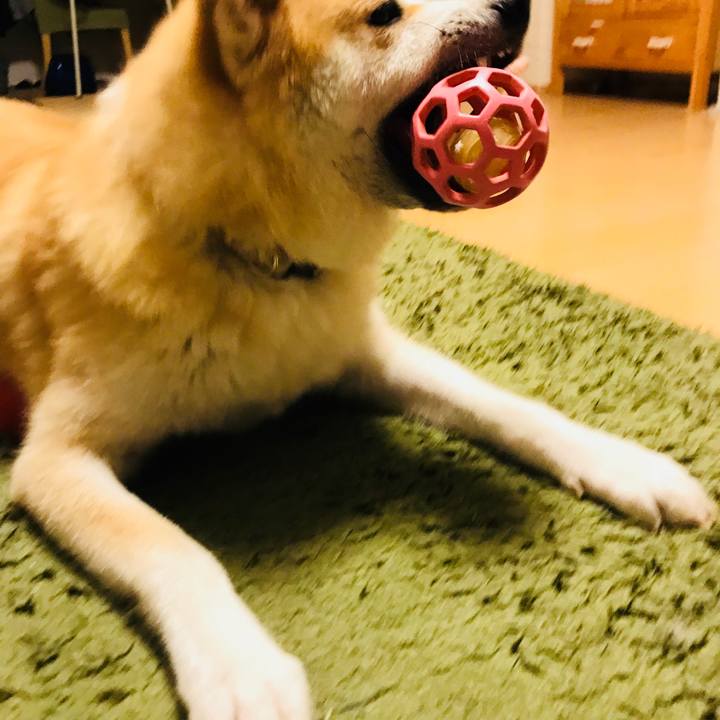 Fe0b0735 2194 49b7 ab3b 0ad89677f680 1508670428774