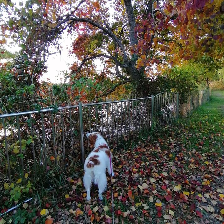 Fe0b2984 2e41 4e7b b728 bf1e68c73788 1605517677344