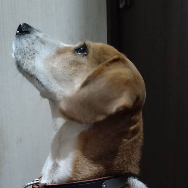 Fe0b47db 17b0 4203 ad4b f8a9816bfa18 1641984359829