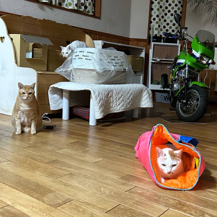 Fe0b7634 32e7 4034 98b0 6ac53b331fcc 1684847675928