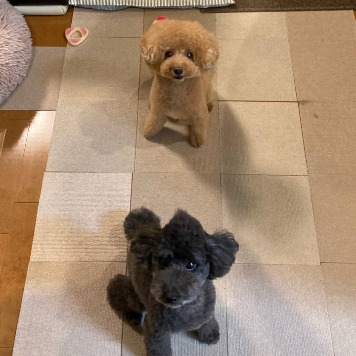 Fe0b97a0 a004 4e38 8a66 7e053e03a9fc 1664278513528