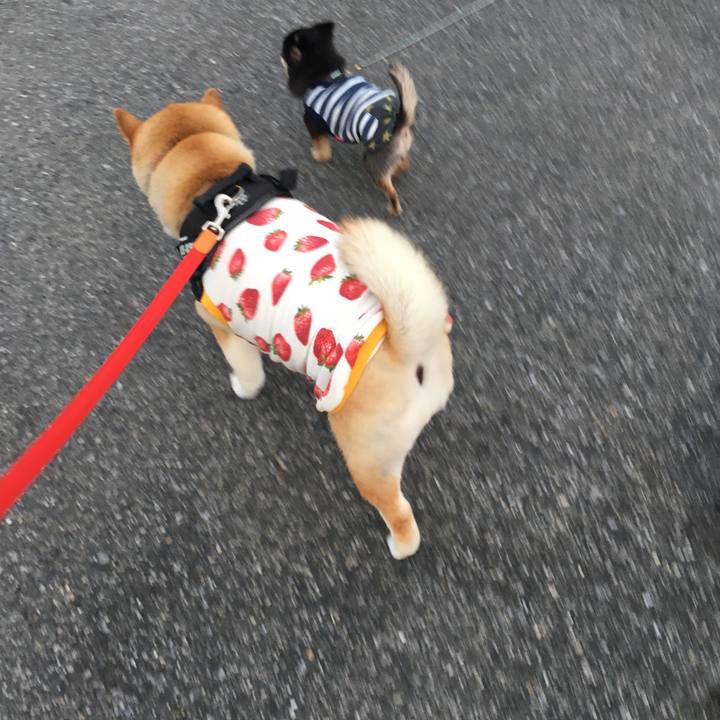 Fe0b97df 3116 4589 abb6 128094b62a41 1576142196720