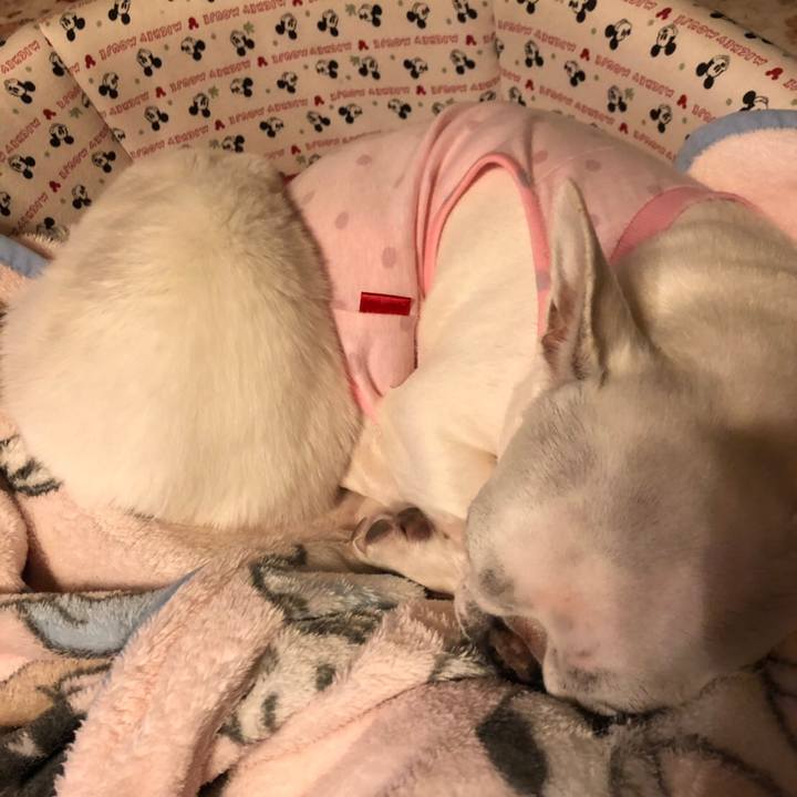 Fe0bc053 c5a5 416a 86cd 4f38f78b51cf 1551789818603