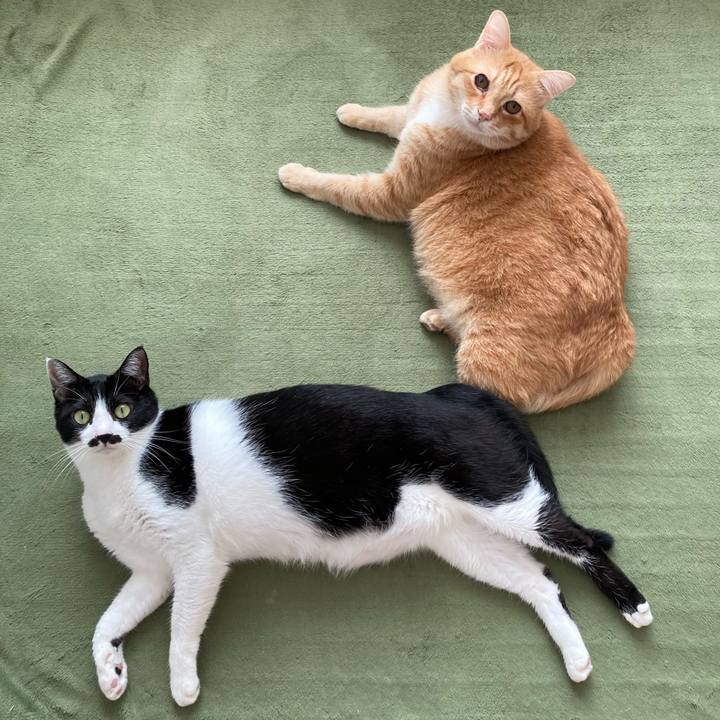 Fe0bc947 d945 488b 8db4 f69ccb9d417d 1763594033535