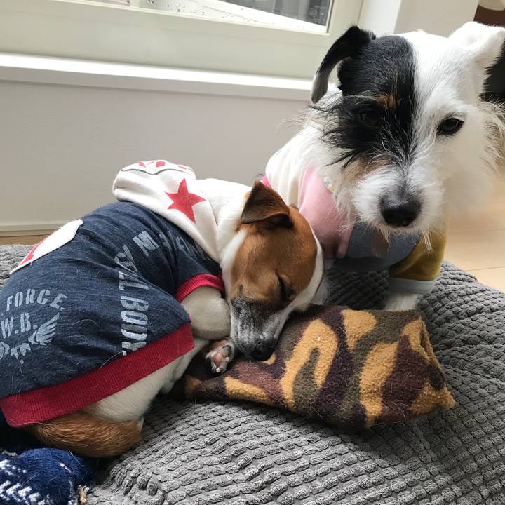 Fe0bc997 bd2a 4418 88ef ece65ba2fd81 1519861366610