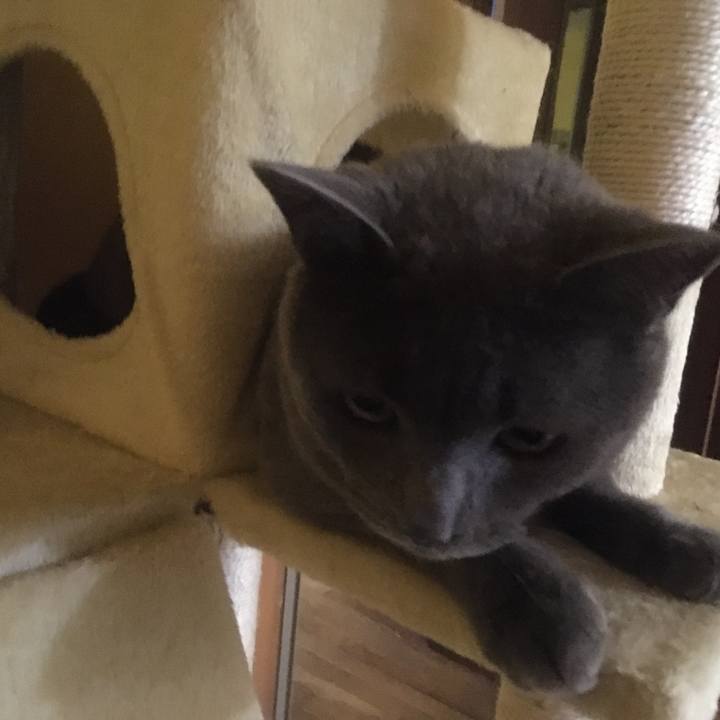 Fe0bfe1f 295b 435d 996f f768c90de379 1618453434828