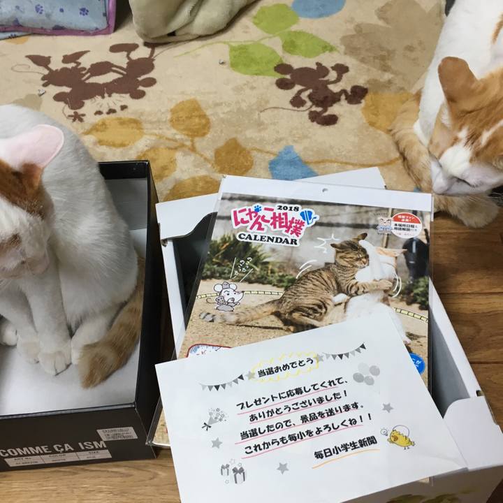 Fe0c0739 0c45 4d2b a170 9ce4109c6998 1513635495254