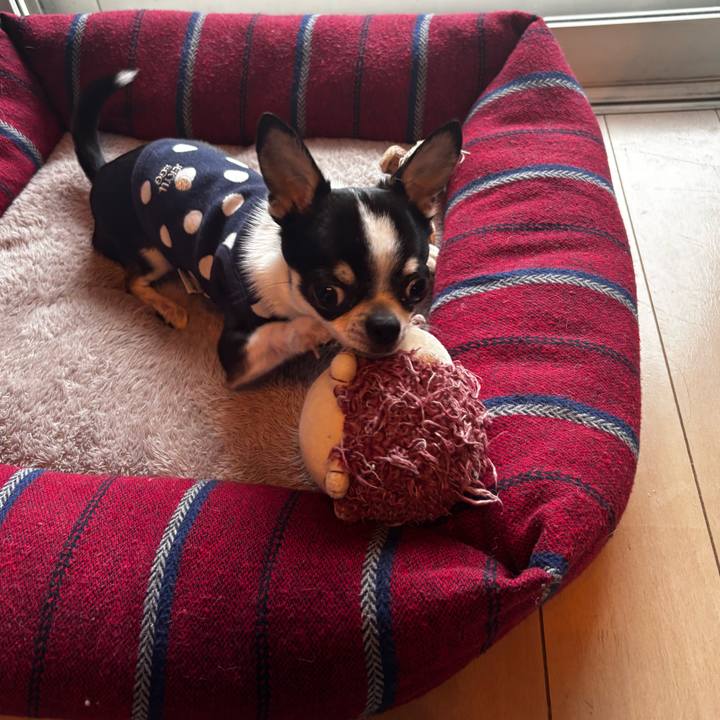 Fe0c67dd 3907 4146 b97a 7b0b8e4e6f7a 1773354047544