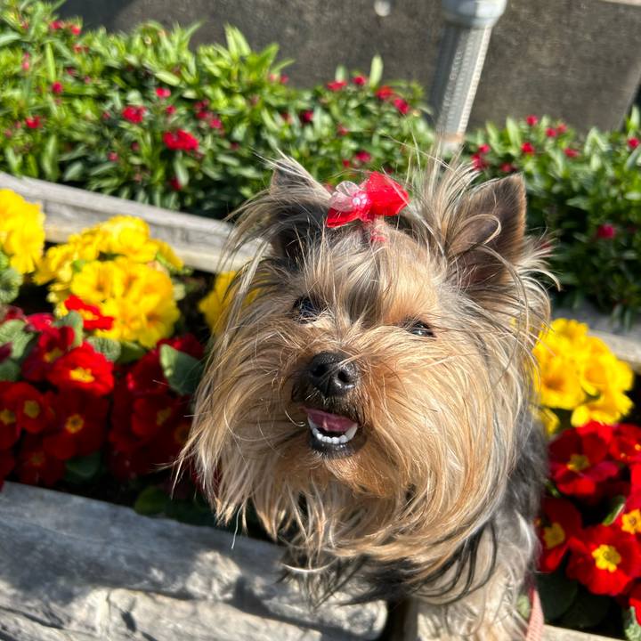 Fe0c6b5b cc29 41a6 9ead 7cae839f3da3 1676698224761