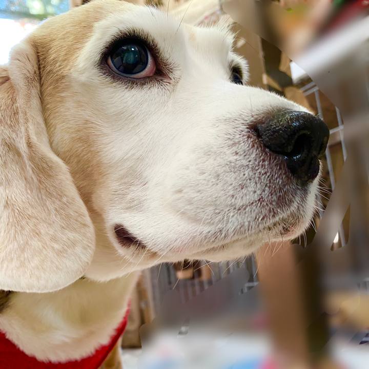 Fe0c9a73 b791 4f6a 9e9b 922eb2fcd5f9 1638501548837