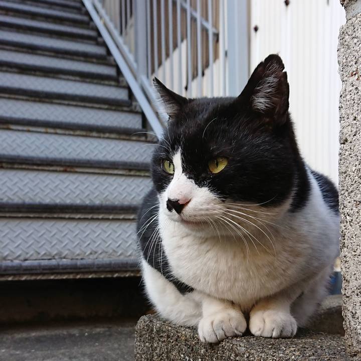 Fe0ca565 4f53 487d 8091 dacb208a0e47 1550797430233