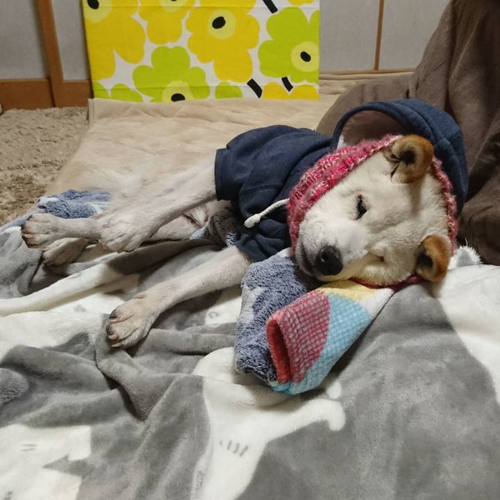 Fe0d16f5 a3ae 4ba1 ae71 d4a40f5f7b43 1515939722589