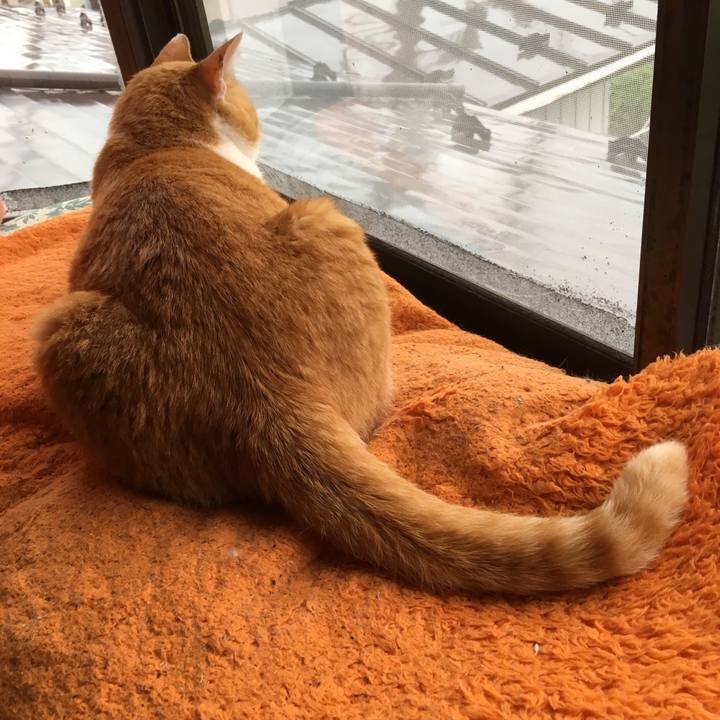 Fe0d632b 81b3 4b23 aca3 91af1828cd1c 1563270347736