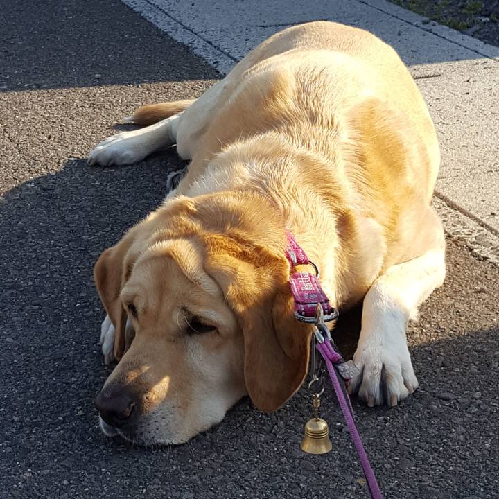 Fe0d9887 9e76 4ce6 ba8f ff588feb28fb 1524271328384