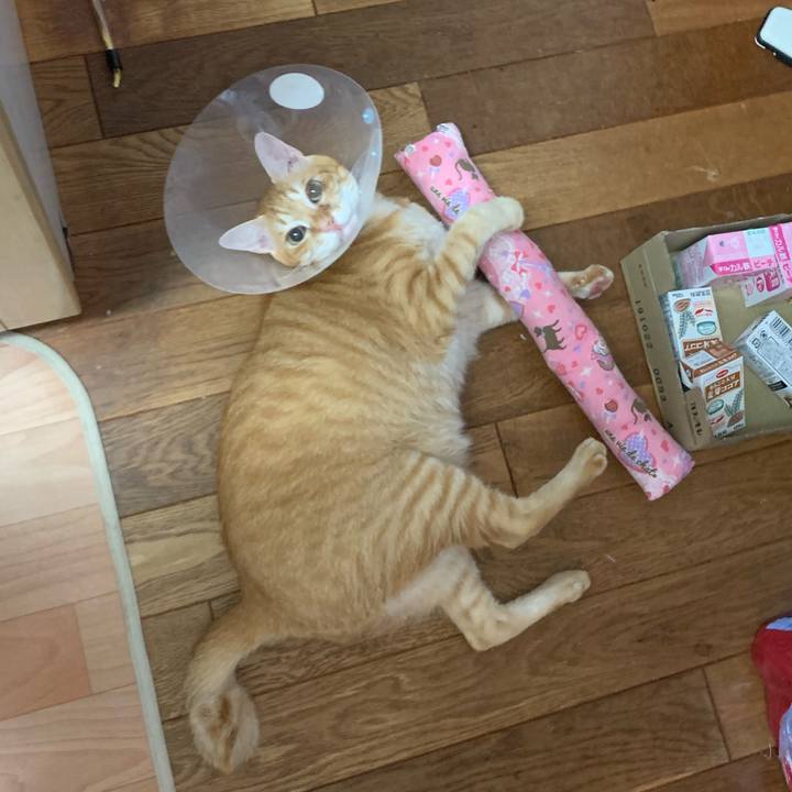 Fe0da73a fbe9 4029 af28 74b7d80fa4ce 1566960880937