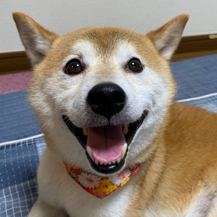 Fe0dbad4 24c2 4d13 8a31 8c06f6a8eaa9 1599129629378