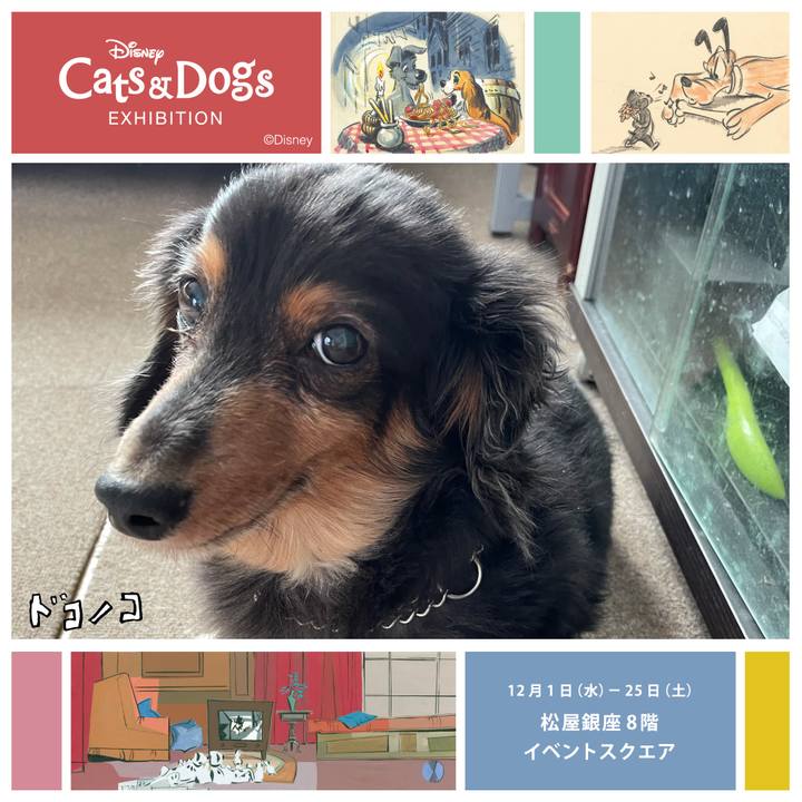 Fe0dc4ec c85b 466b a29d 4744e32cae95 1638960836808