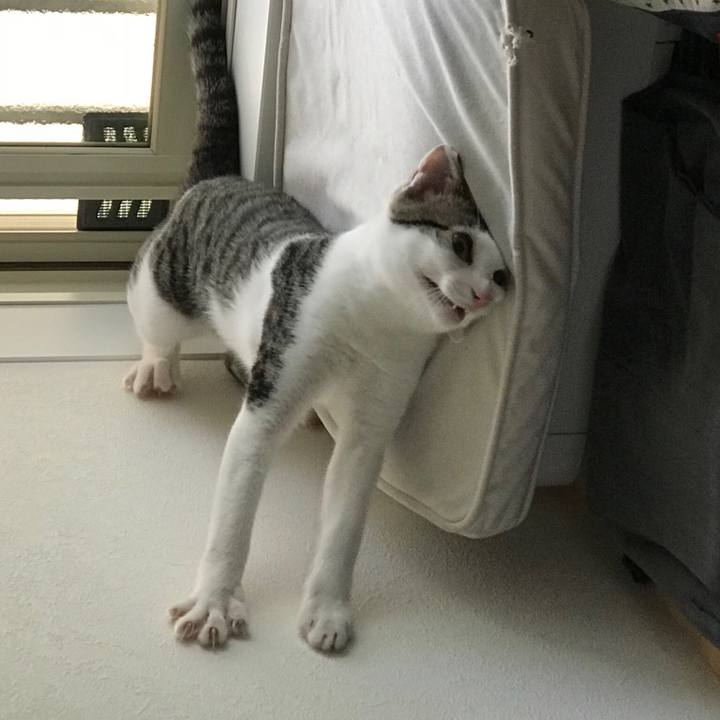 Fe0dcee2 7a40 4991 aaec c92fd0a7a53f 1537696937400