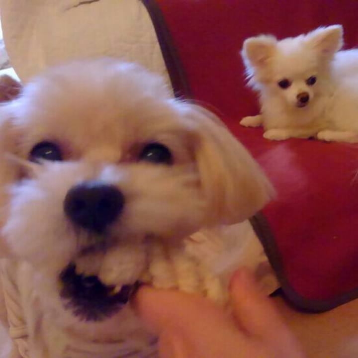 Fe0df9d5 142f 4dbc 8bda 392f552e5a96 1538225960017