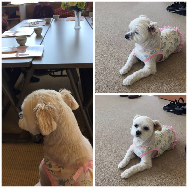 Fe0e127b 3c00 4b99 bc9d 855a0408d1ff 1559547194721