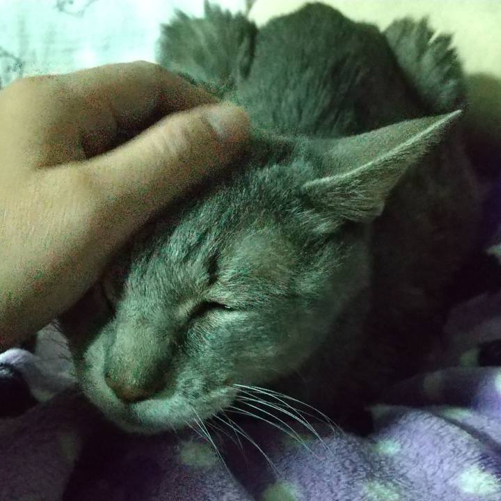 Fe0e2c53 cbd1 4b0d 8e63 863ba18e2cdc 1698511302344