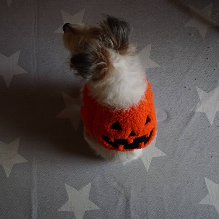 Fe0e3c5d c1f9 4811 a129 1662630a6510 1540980316525