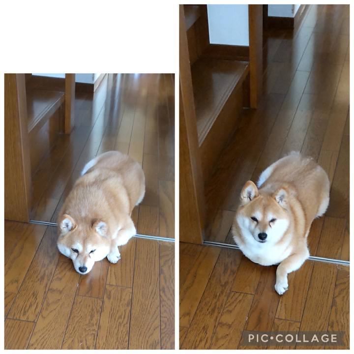 Fe0e6eda ba26 4bb5 a665 241fa82de027 1774251495346