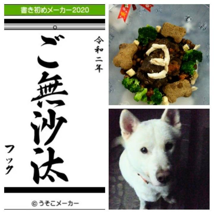 Fe0e6f7c 7249 47e5 b818 03f1cb22cd1f 1577877532322