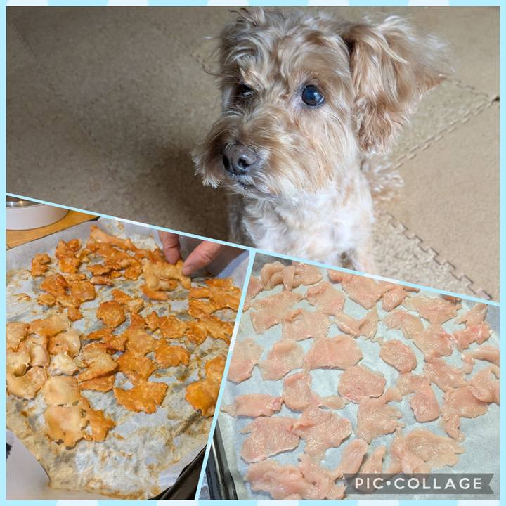 Fe0e82dd 4756 4e69 88b9 2abb3875258a 1765230420431