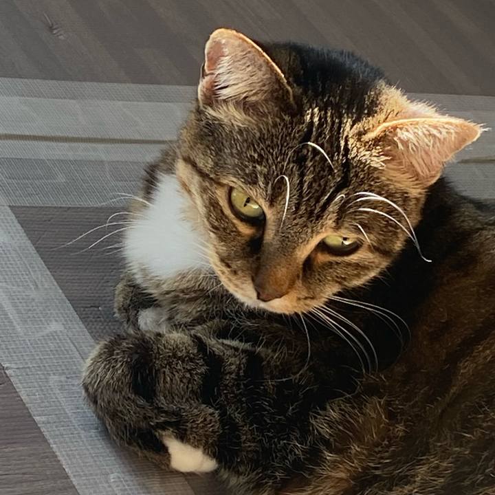 Fe0e908b 54e7 409c 8de7 beded51ead66 1638580802674