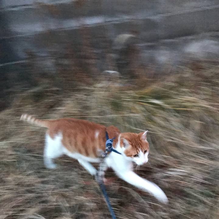 Fe0e9f0b 2f87 4d24 97f7 d98f103b3b60 1517832392993