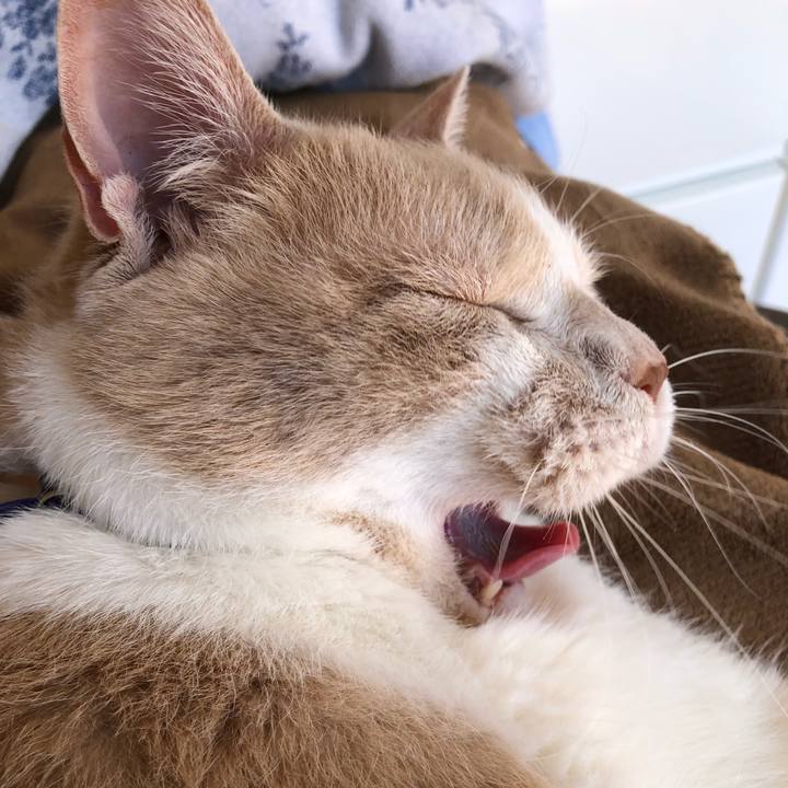 Fe0ea533 598d 4304 b18b 049d0da039cf 1553428259399