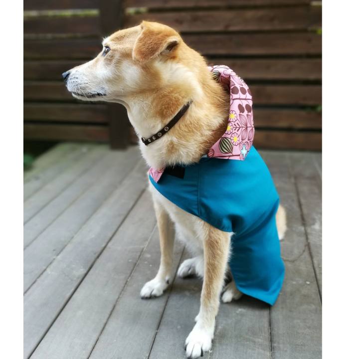 Fe0f2067 63f0 415b b802 dbc16d964c84 1527047420945