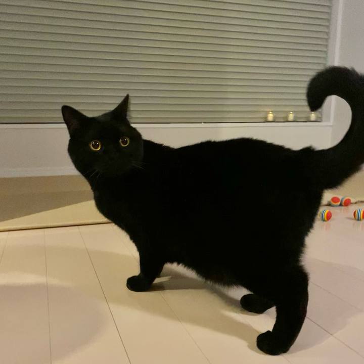 Fe0f32d5 b5df 43cb 8f0e d8ae10e19b97 1616504162788