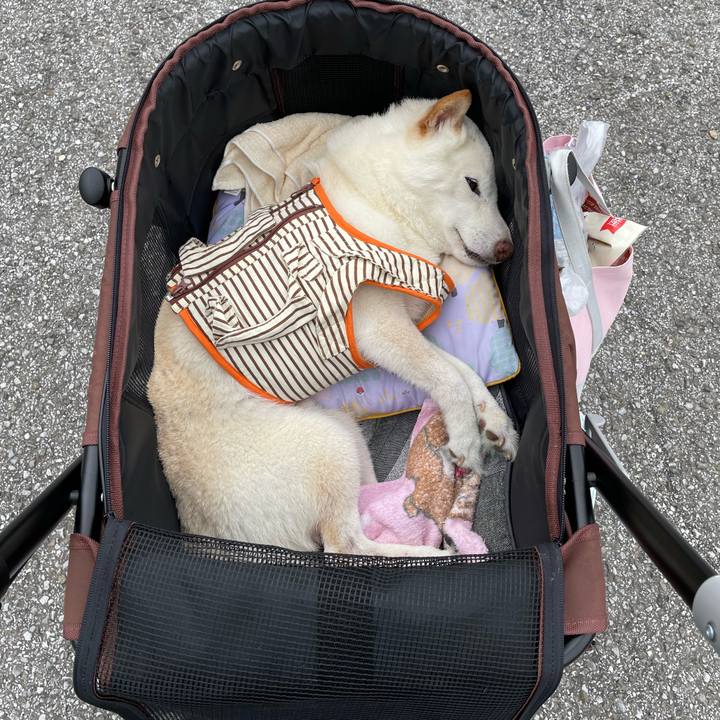 Fe0f5b87 de82 4dab b43f c84c3eba8281 1655644717321