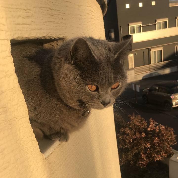 Fe0f706d 112b 494e bf3f 9256ba2a5629 1644829298408