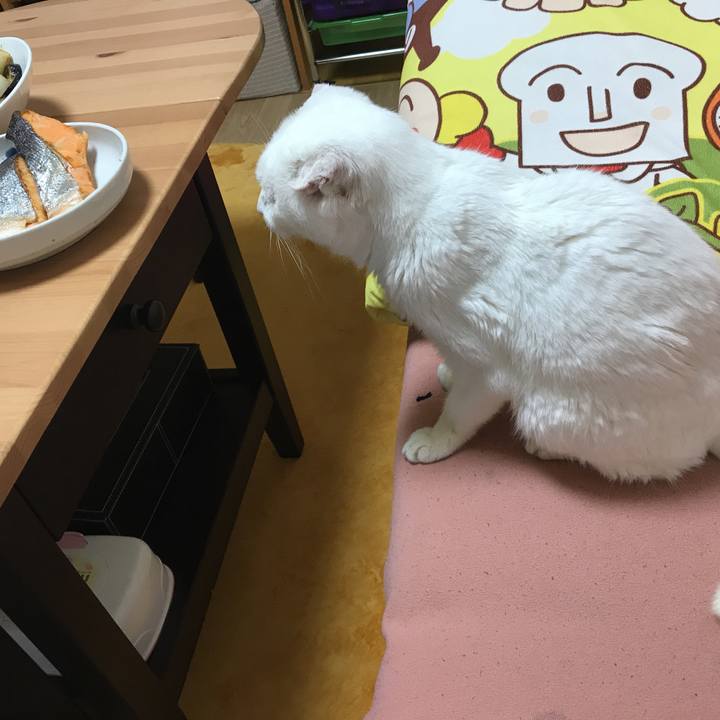 Fe0f9f3b a77b 41c1 9333 82ebb8eda842 1531130947708