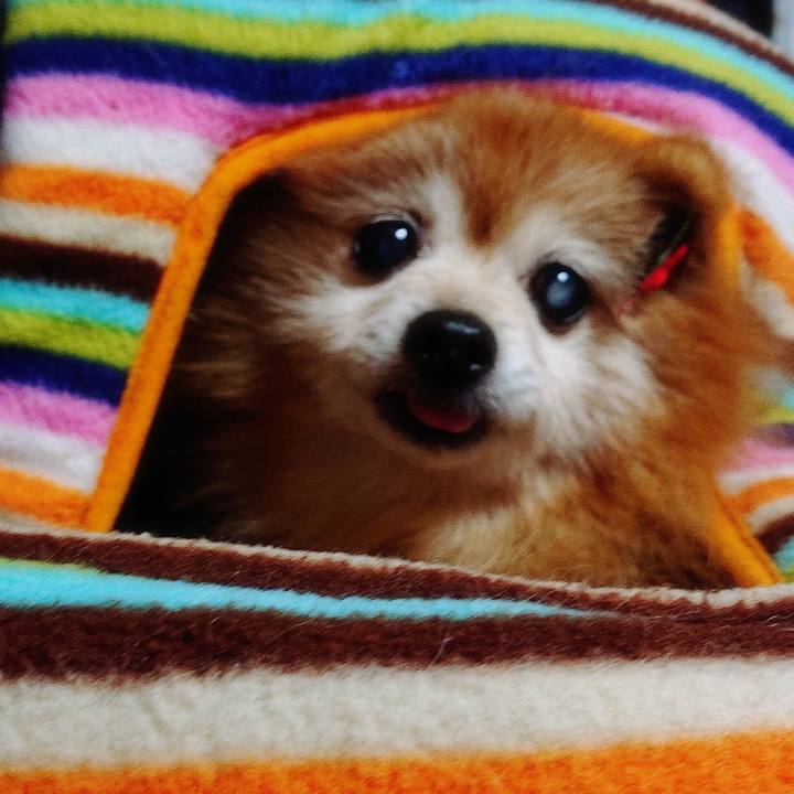 Fe0fb199 e9fc 4731 8512 388512abdea2 1605741888270