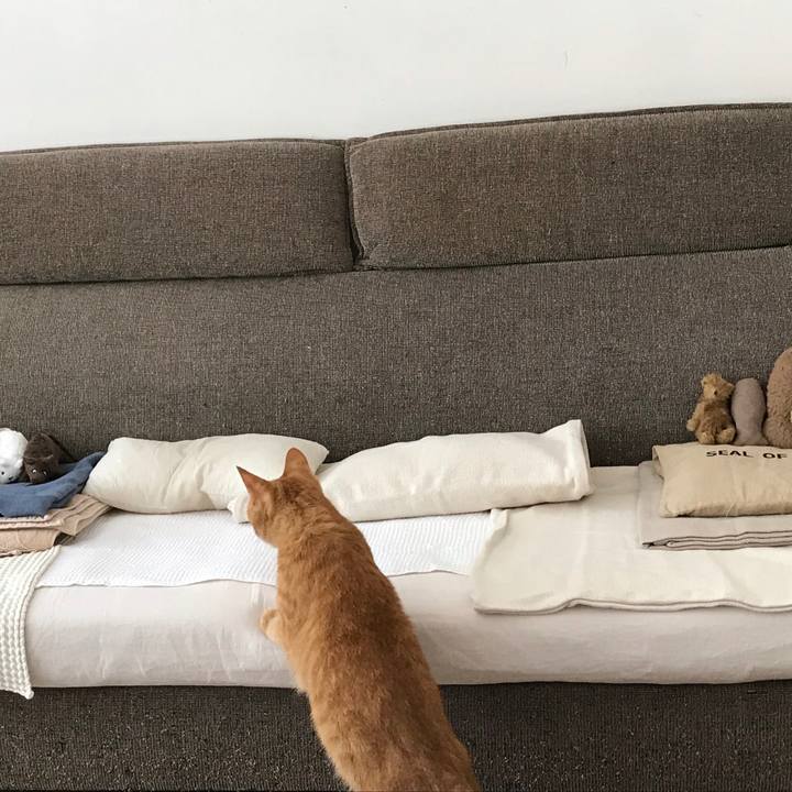 Fe0fc195 d8c3 4d59 a2a6 14ba447f956b 1534388774999