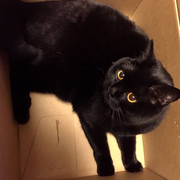 Fe0ff87c daa5 474b b09b 591ecd73b3da 1524486223582