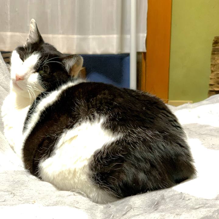 Fe10342c b86c 4ae8 bf94 6d719d697ece 1582505192395