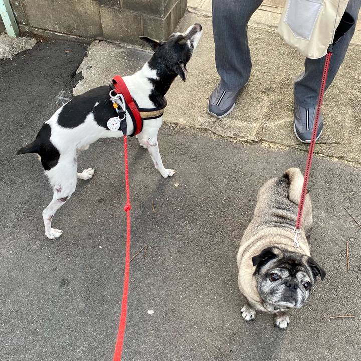 Fe1050eb 96eb 4ba1 987f ad99f24c3fe9 1631746574518