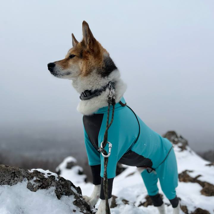 Fe106f21 a311 4f1d 9280 a3823817b290 1770524858117