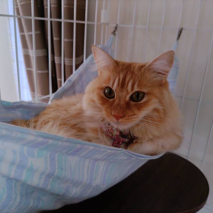 Fe107612 7afa 421e 80c0 4b32efd0170e 1669363523627