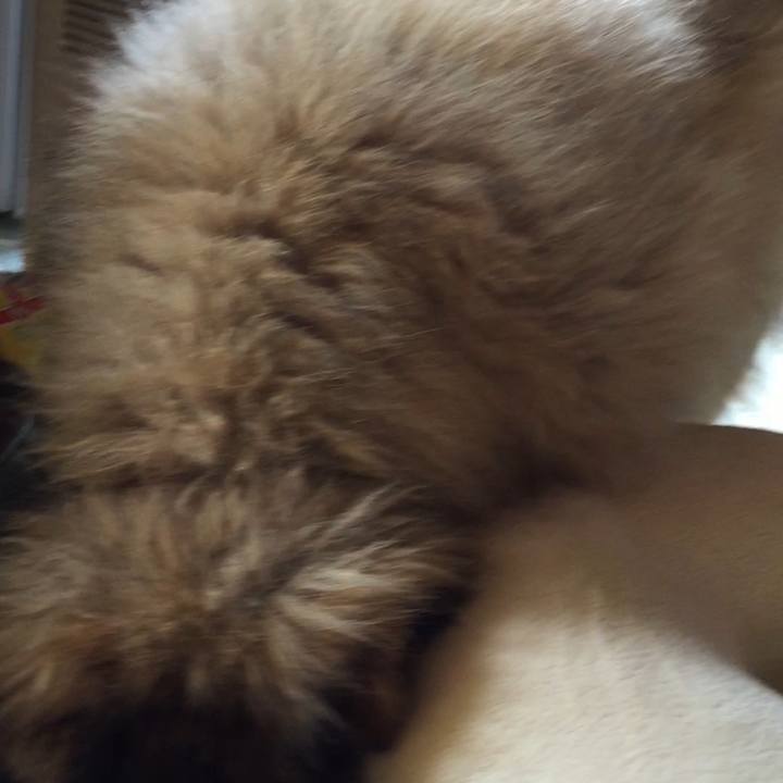 Fe107ba1 b877 48bf 8592 bf9b38bf971a 1604134649522