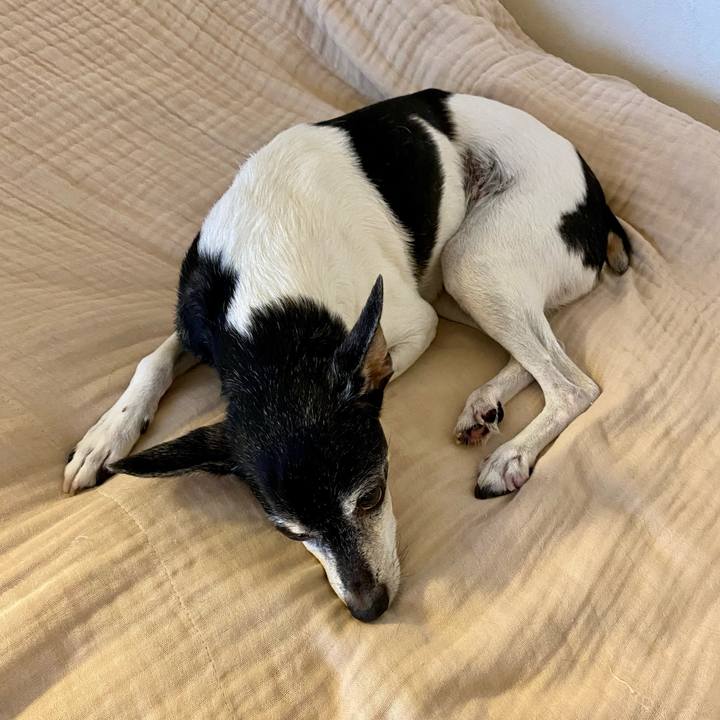 Fe10922a 516e 4fe2 84d3 bcdbb68d07d7 1625698919590