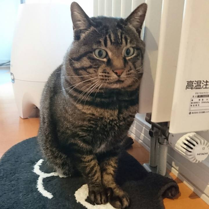 Fe10d219 2261 4197 98cf 23d48c1d215a 1511175503049