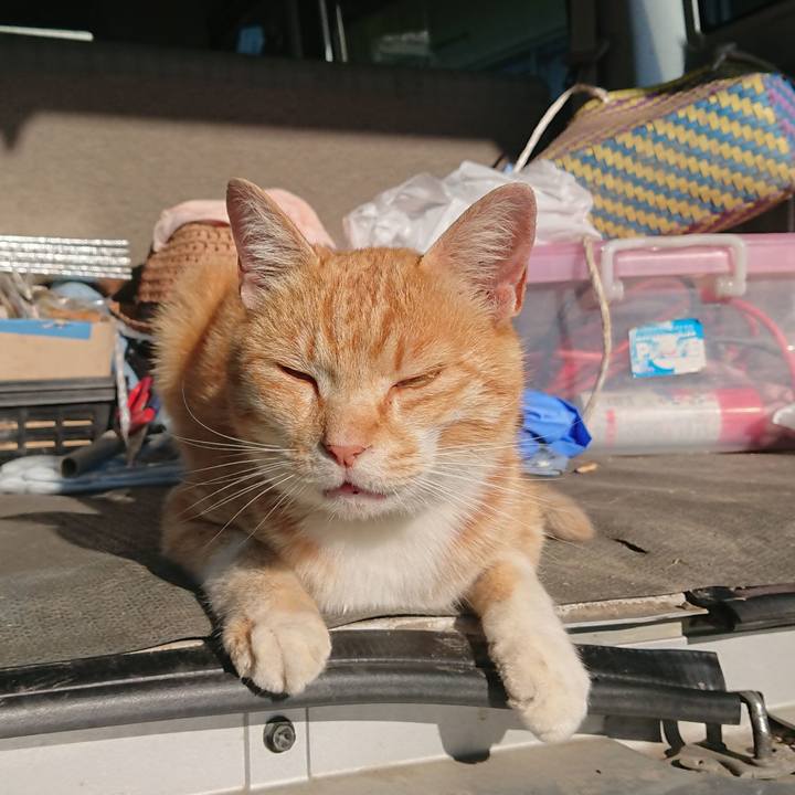 Fe10d237 e7e4 4a62 9a3a 02cd2910d4c6 1590790719962