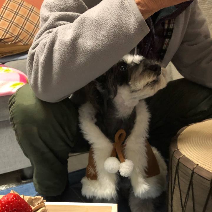 Fe10d69e cd2a 4fb6 a878 03c1913e2dff 1703417609427